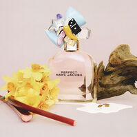 PERFECT 100ml-192805 PERFECT 100ml-192805 3